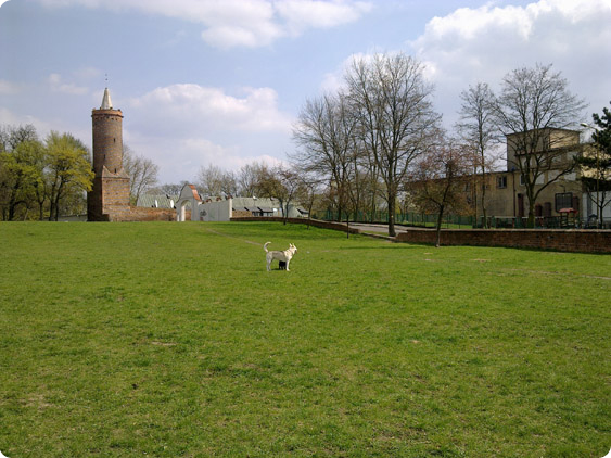 IMGP1861