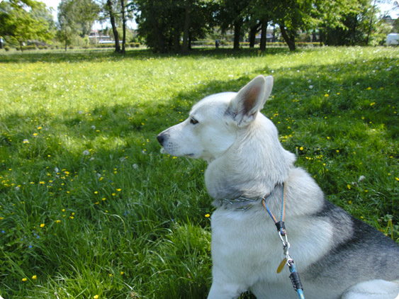 Aiki2