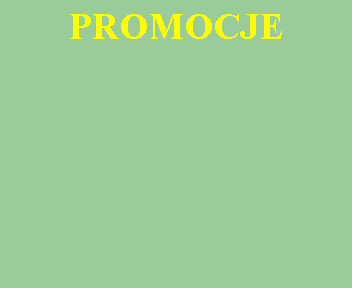Pole tekstowe: PROMOCJE
