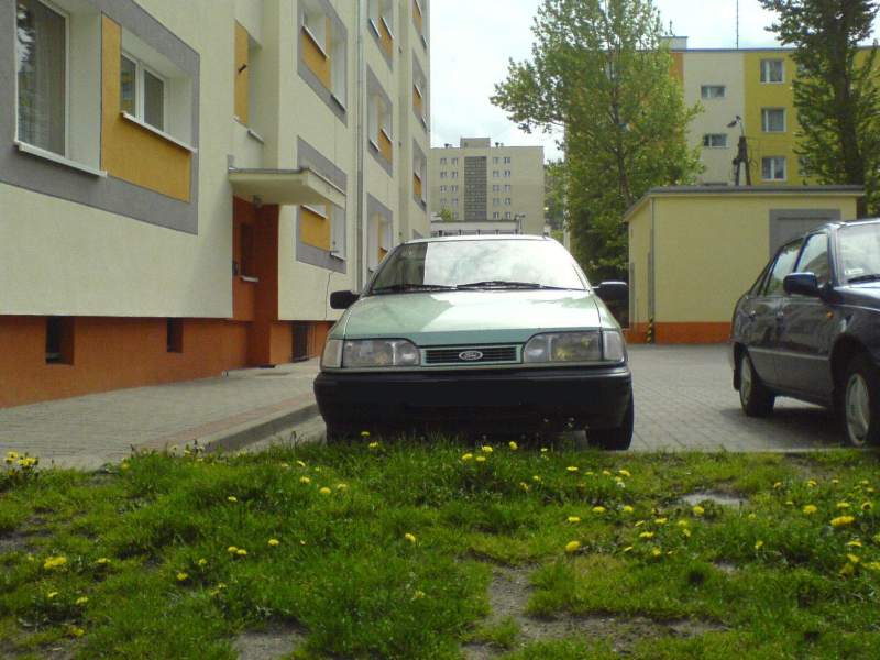 sciera3.JPG
