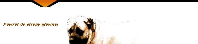 Wr�� na stron� g��wn�