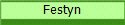 Festyn